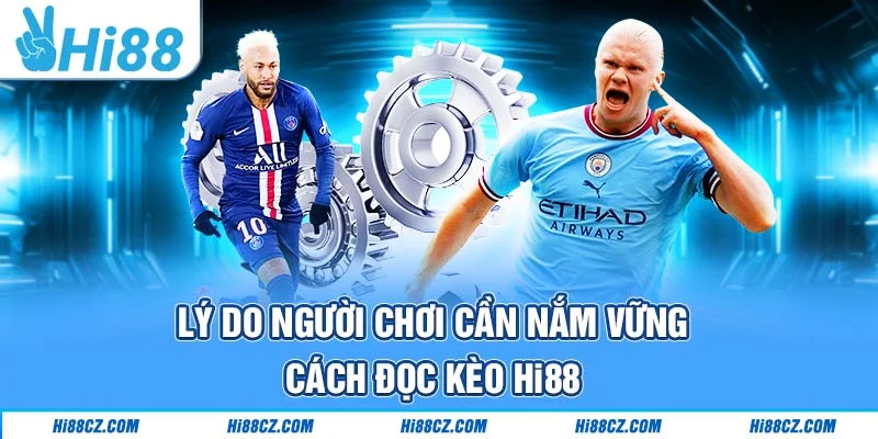 Lý do người chơi cần nắm vững cách đọc kèo