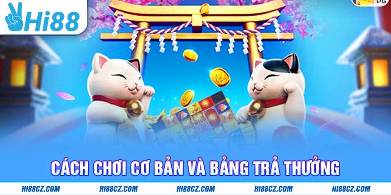 Cách chơi cơ bản và bảng trả thưởng