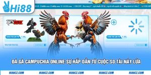 Đá Gà Campuchia Online – Sự Hấp Dẫn Từ Cuộc So Tài Nảy Lửa