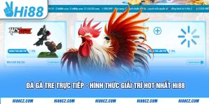 Đá Gà Tre Trực Tiếp - Hình Thức Giải Trí Hot Nhất Hi88