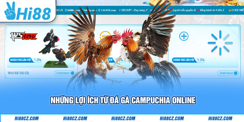 Những lợi ích từ đá gà Campuchia online